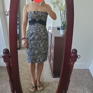 EUC Trina Turk zebra stampede Carolyn dress